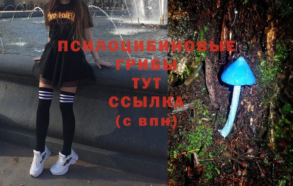 стафф Алексеевка