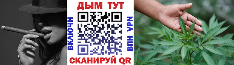 кракен маркетплейс  Копейск  Каннабис индика  что такое  